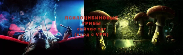 PSILOCYBIN Володарск