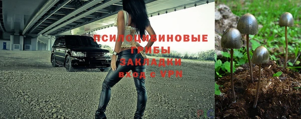 PSILOCYBIN Володарск